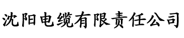 快喵新版官网入口在线看ios电缆厂logo